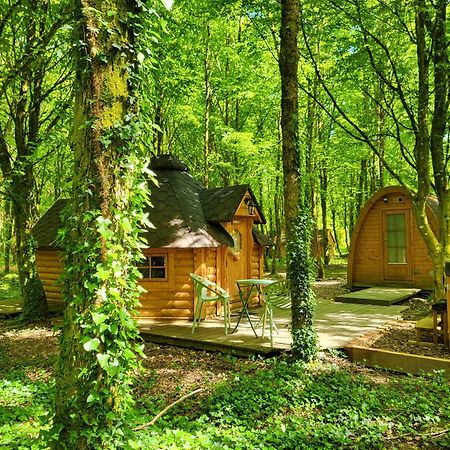 Le Domaine Insolite De Broceliande بيامبونت المظهر الخارجي الصورة