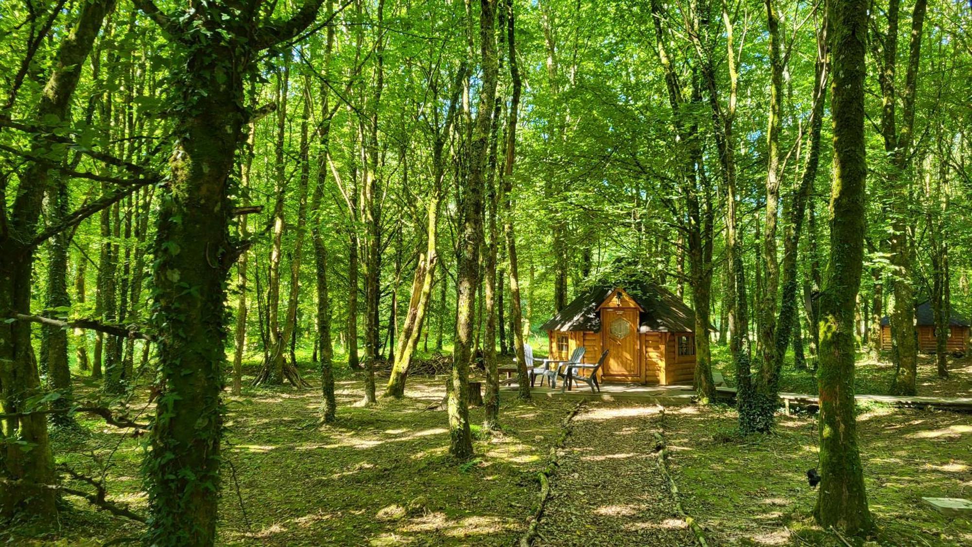 Le Domaine Insolite De Broceliande بيامبونت المظهر الخارجي الصورة